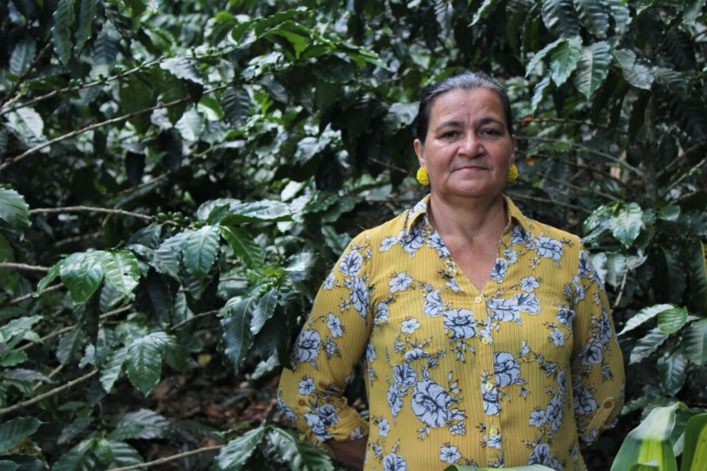 ABUELO Single Origin | Honey Process | Santa Barbara, Honduras